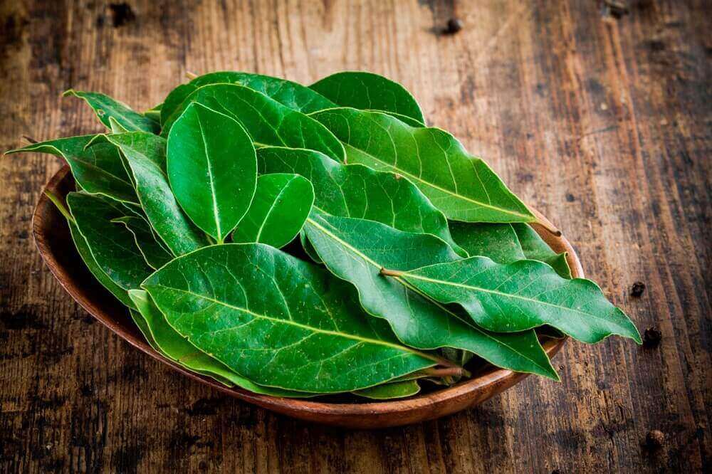 Lagerblad är bra för lungorna