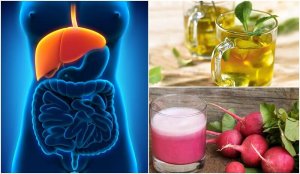 Upptäck hur du kan behandla fettlever naturligt