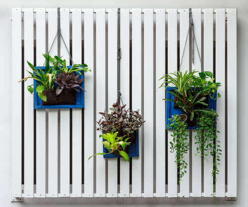 Vit vägg med växter.