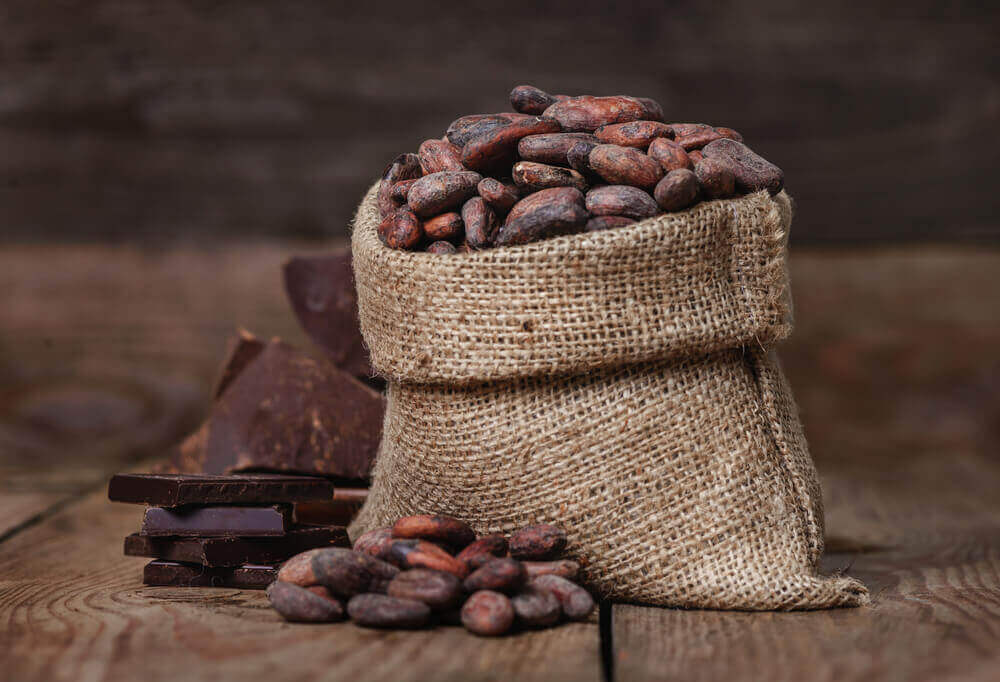 Kakaobönor och mörk choklad