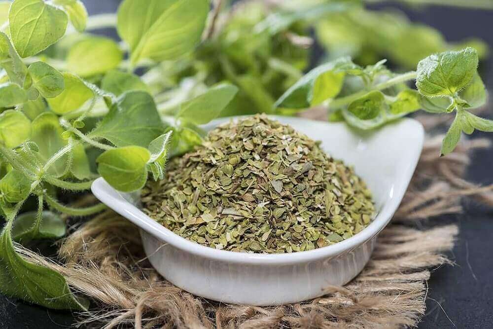 Aromatiska örter