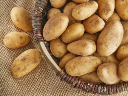 Potatis i träkorg.