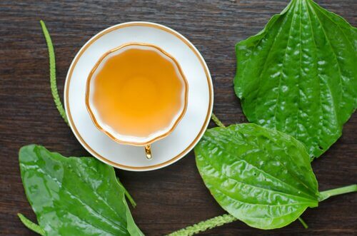 Te på groblad.