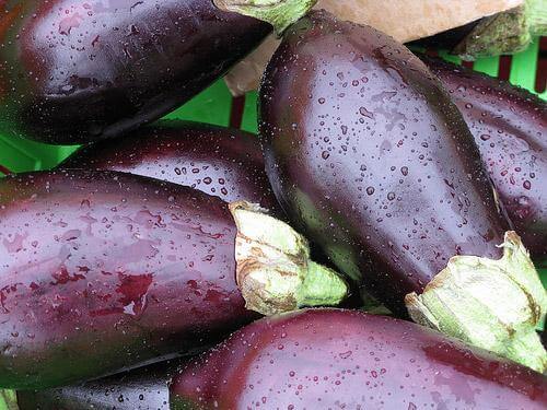 Prova på ett recept med panerad aubergine