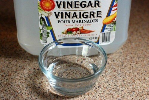 Vitvinsvinäger eliminerar kvalster