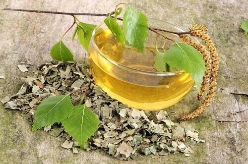 Bekämpa cystit med björkte