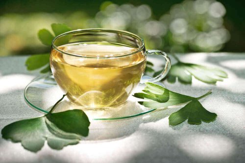 Ginkgo Biloba