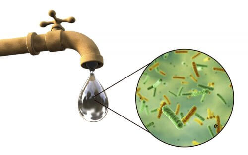 Bakterier i vattnet kan orsaka tarminfektion