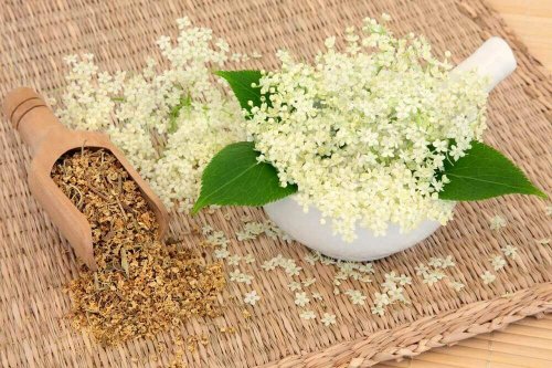 Älggräs hjälper dig ta hand om din matsmältning