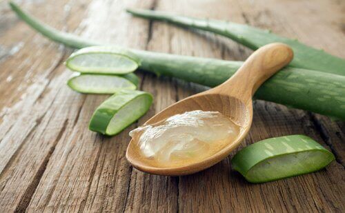Aloe vera gel på träsked.