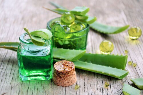 Aloe vera för skinande och silkeslent hår.