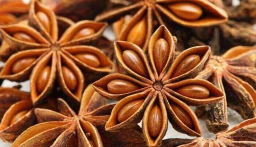 Anis är bra mot gaser