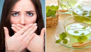 Upptäck myntans egenskaper och användningsområden