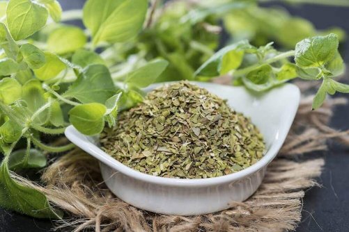 Oregano är antiinflammatoriskt