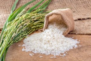 Vilket är det bästa sättet att äta ris och varför?