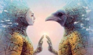 6 viktiga steg för hur du hittar din själsfrände