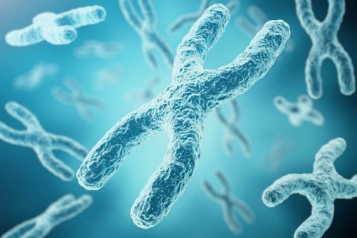 Hur uppstår inaktiveringsprocessen av X-kromosomen?