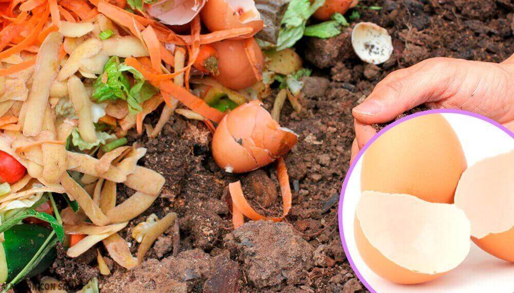 Äggskal för jord