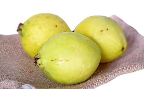 guavans otroliga egenskaper mot anemi