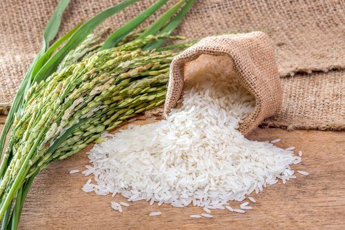 Ris stimulerar kollagenproduktionen