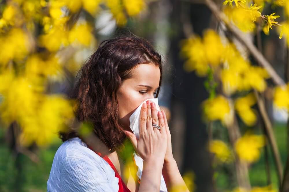 Säsongsallergier relaterade till pollen