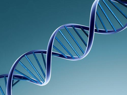 Tvåäggstvillingar har 50% av varandras DNA