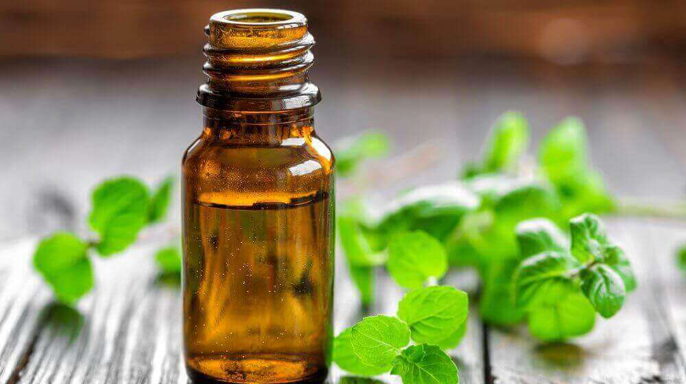 Eterisk myntaolja.