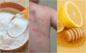 Lindra loppbett med 5 naturliga huskurer