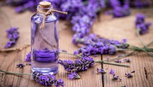 Lavendelblommor och olja som naturligt lindrar spänningshuvudvärk