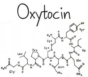 Effekter och biverkningar av hormonet oxytocin