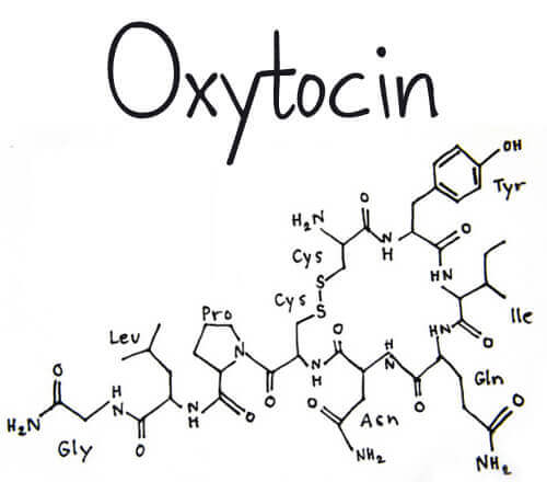 Effekter och biverkningar av hormonet oxytocin