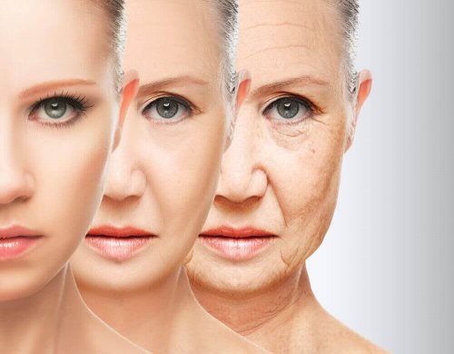 rödbeta motverkar åldrande
