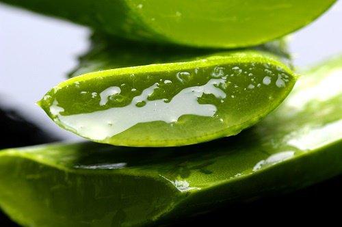 Topp-fem hälsofördelar med aloe vera