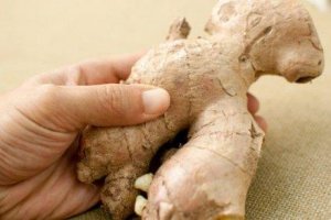 Ingefärs- och olivoljesirap som smärtlindrande medel