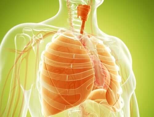 Naturliga kurer för att avgifta lungorna effektivt