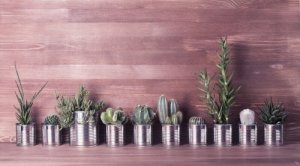 Tre idéer för att återanvända aluminiumburkar