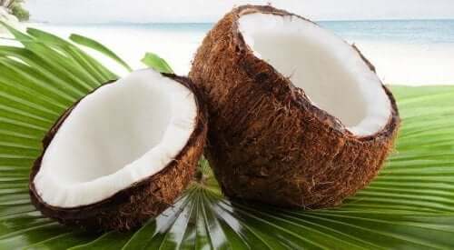 Kokosnötter på strand.