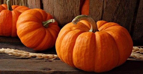 Pumpa innehåller antioxidanter
