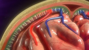 Användningar för infusionspumpar inom patientvård