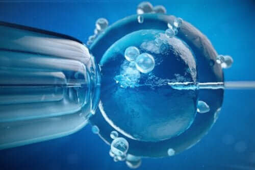 Befruktning in vitro