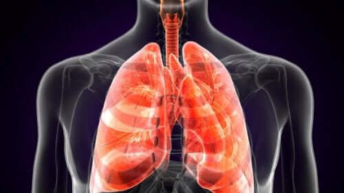 Fakta om lungpest: vad är det egentligen?