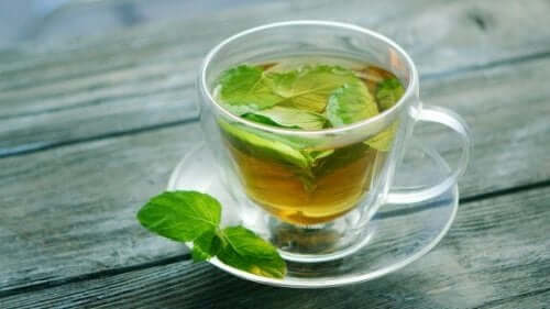 Upptäck hälsofördelarna med te på mynta