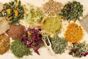 Medicinalväxter mot magsmärta: naturligt och effektivt