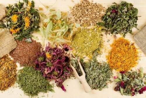 Medicinalväxter mot magsmärta: naturligt och effektivt