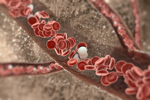 Röda blodkroppar
