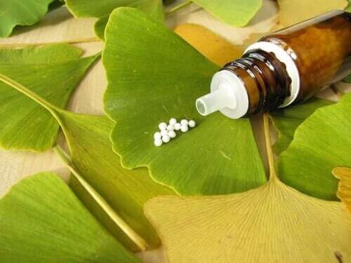 Kapslar med ginkgo biloba