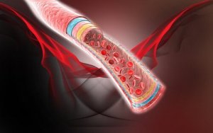 Fyra naturliga kurer för blodcirkulationen