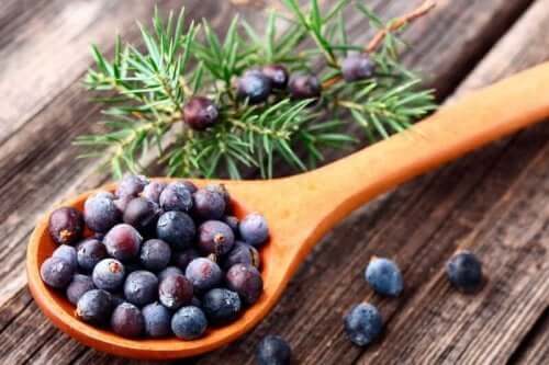 Enolja är bra för huden