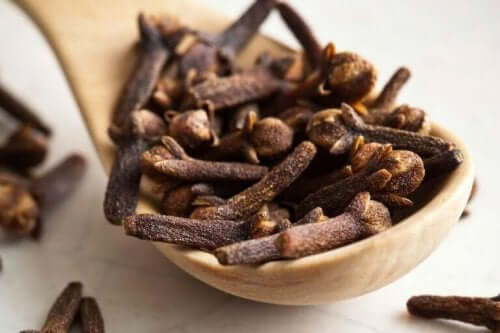 Kryddnejlikor på slev