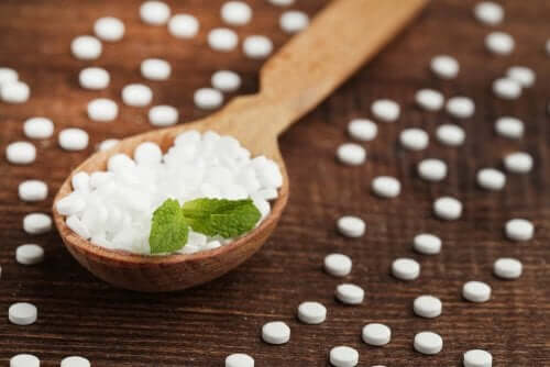 Odla stevia hemma för att använda bladen till att sötningsmedel.
